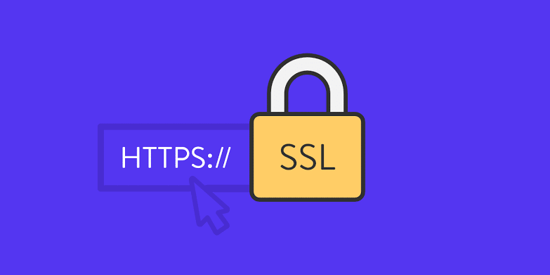 ssl certificate's importance for a website